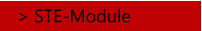 > STE-Module